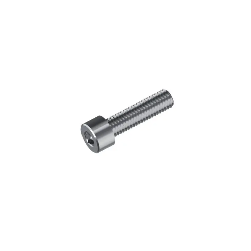 Metric Hex Socket Cap Head Screw - 316 Stainless Steel