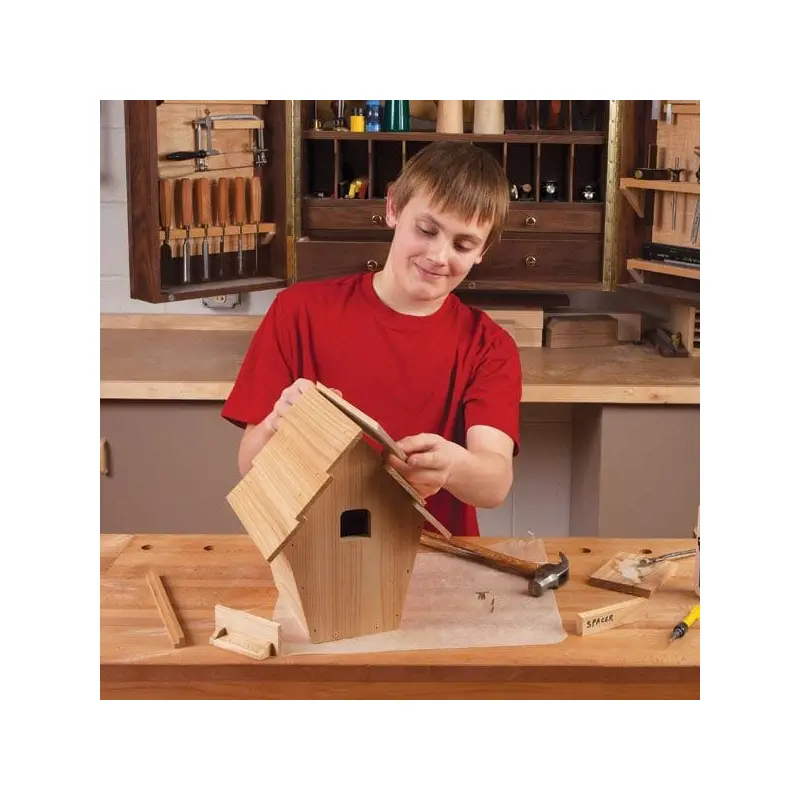 Kid-Built Blue Bird House - Downloadable Plan