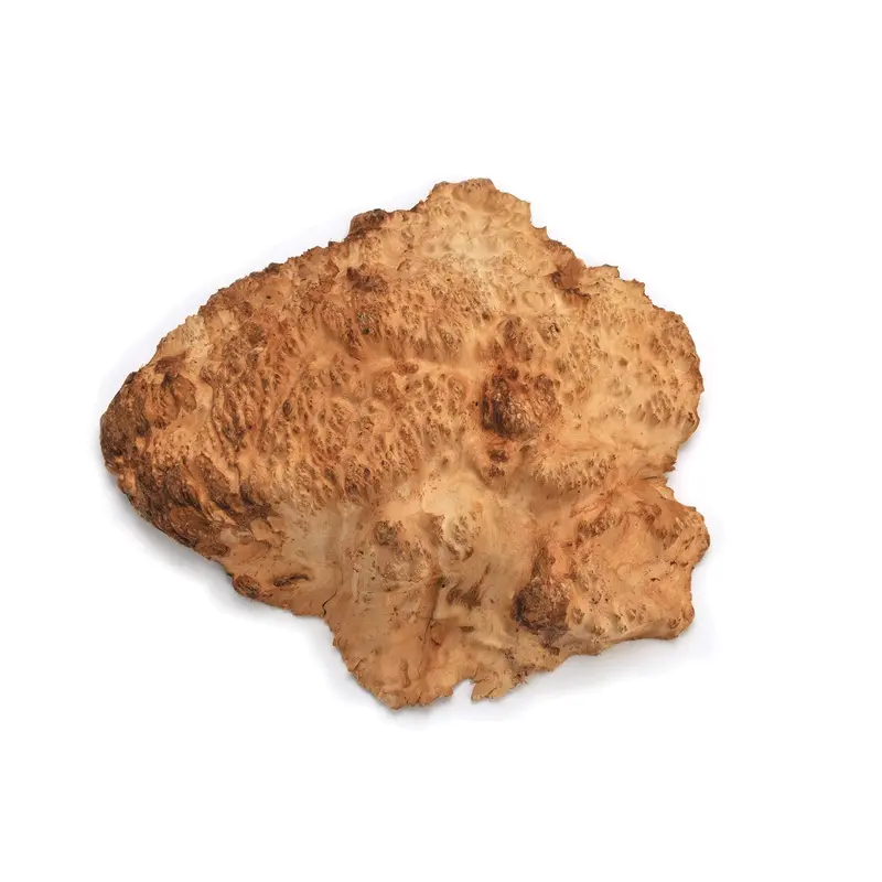 Australian Brown Mallee Burl Cap - 1 kg - 2 kg