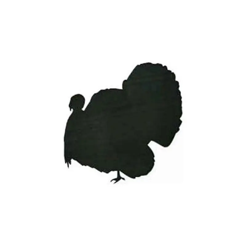 Woodworking Project Paper Plan to Build Turkey Shadow