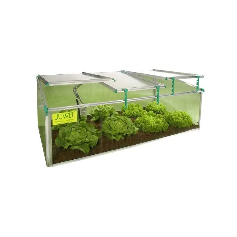 BioStar Premium Cold Frame