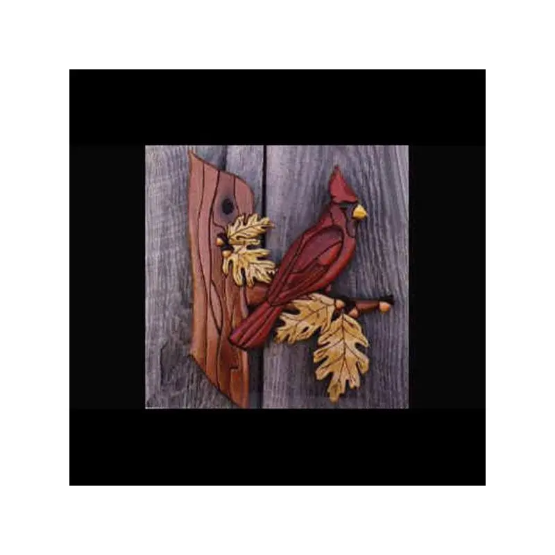 Cardinal Intarsia Pattern