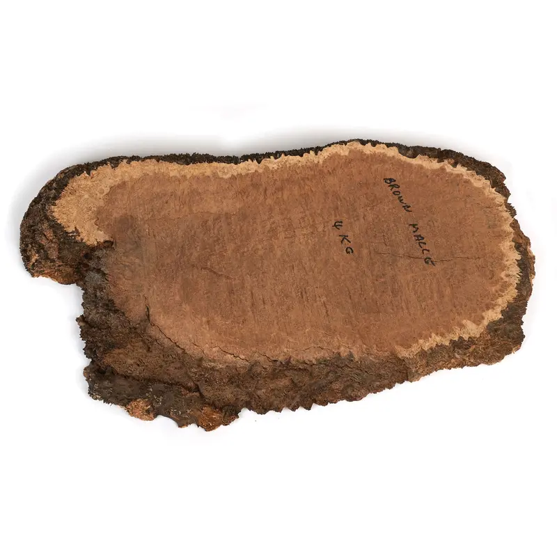Australian Brown Mallee Burl Slice - 2 kg - 4 kg