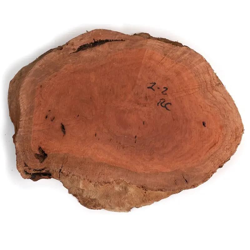 Australian Red Coolibah Burl Slice - 2 kg - 4 kg