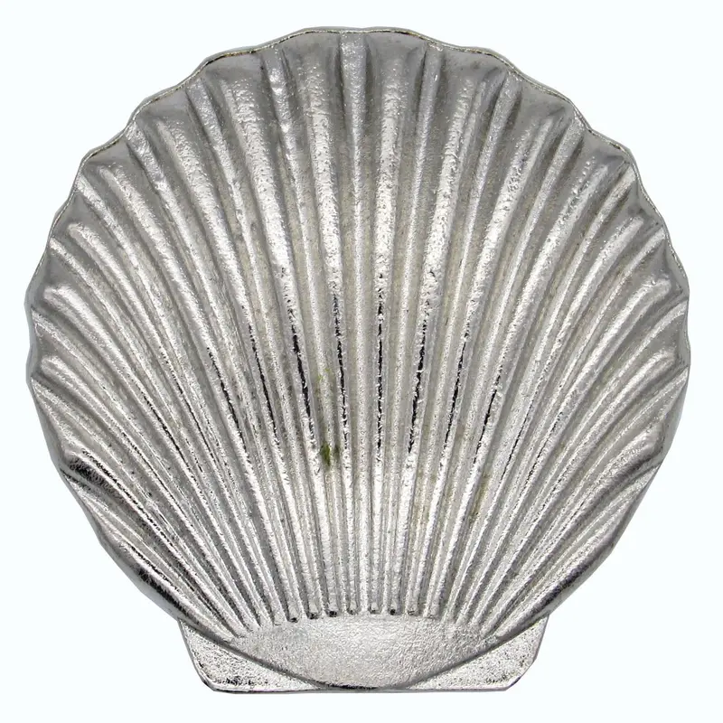 Scallop Seashell Knob, Nickel