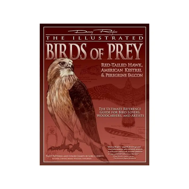 The Illustrated Birds of Prey