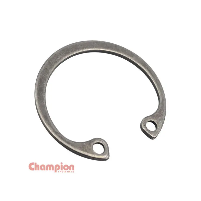 Champion SSD13 Internal Circlip Shaft - 316/A4
