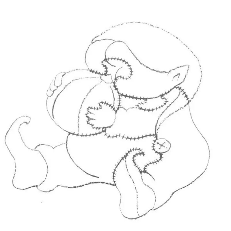 Woodworking Project Paper Plan to Build Elf with Ball