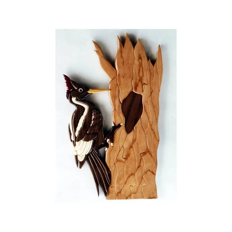 Ivory-Billed Woodpecker Intarsia Pattern