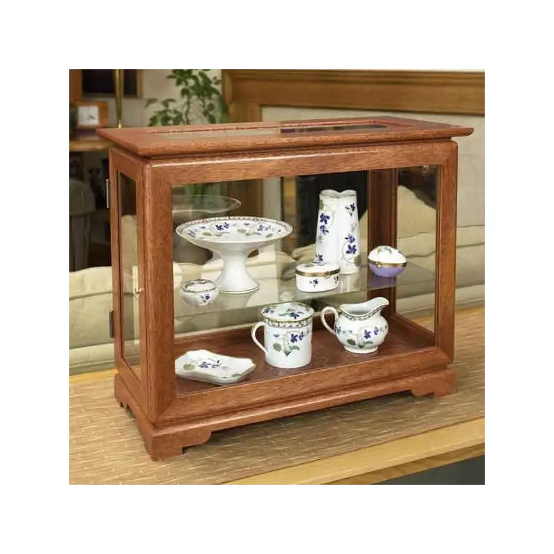 Woodworking Project Paper Plan to Build Full-View Display Case