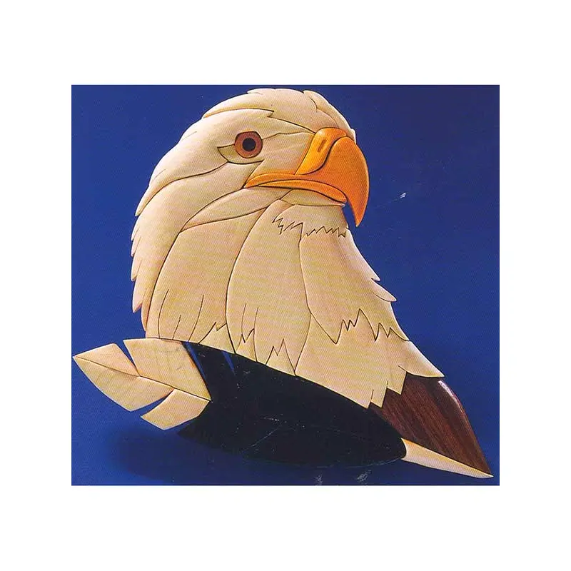 Eagles Gaze Intarsia Pattern