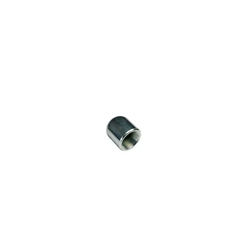 AAP Galvanised Steel Cap