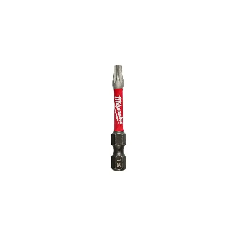 T25 Torx 2" Power Bit